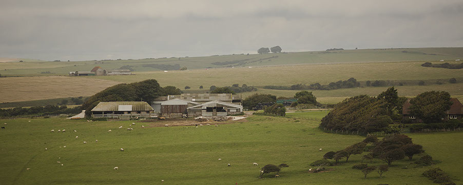 meads the downs-crop-u27885.jpg