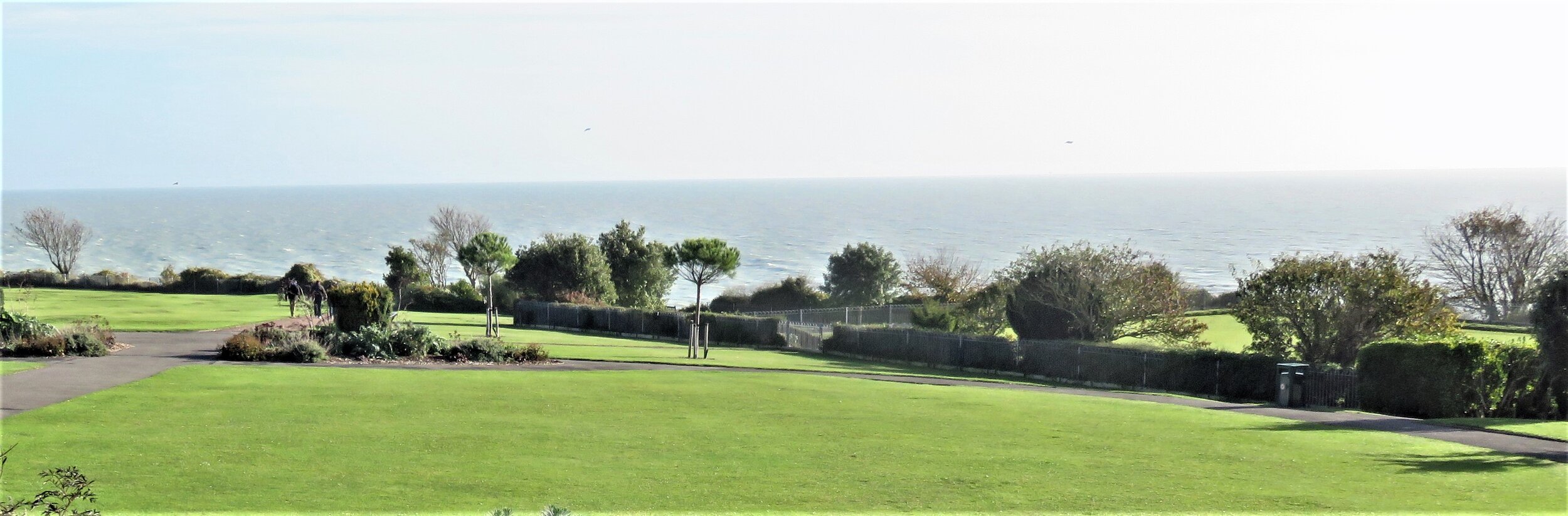 HelenGarden November2018 006 cropped.jpg